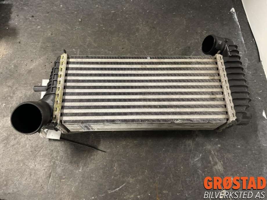 Intercooler til Ford Transit Connect 2018-->> Type II, Fase 2 (2027395|)