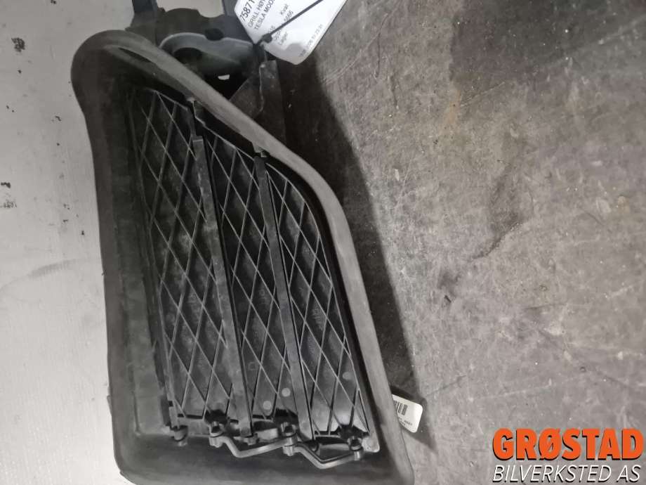 Grill høyre til Tesla Model S, 2016-2021 (Fase 2) (1058007-00-J)