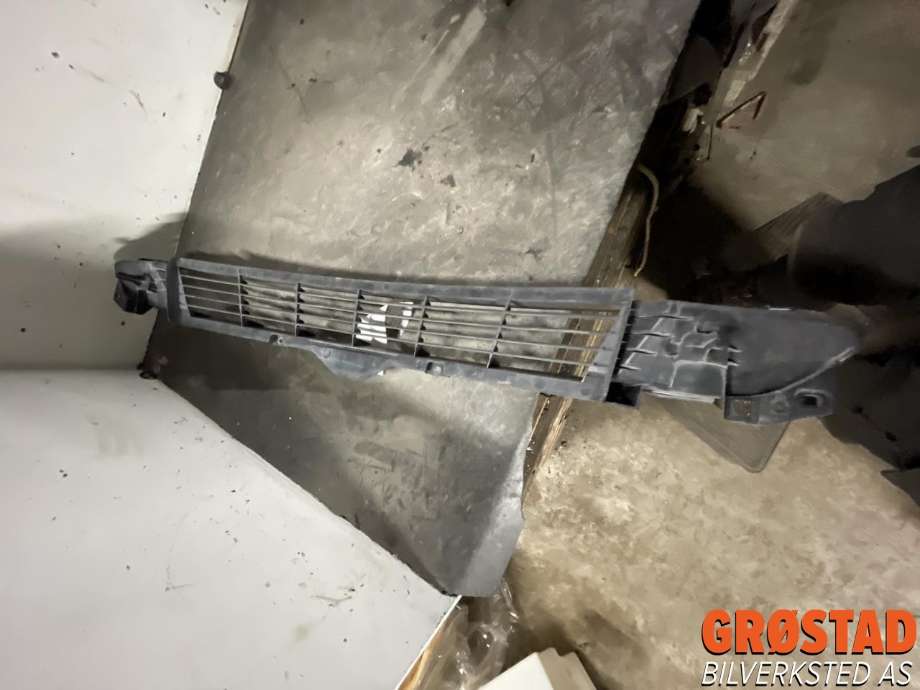 Grill midt til Tesla Model 3, 2018-2023 (Fase 1)  (108592700C)