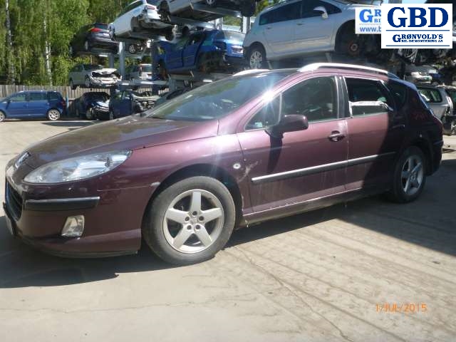 Peugeot 407, 2004-2010 (PIERBURG|9650010780)