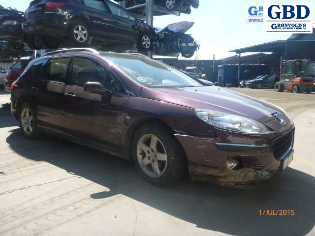 Peugeot 407, 2004-2010 (PIERBURG|9650010780)