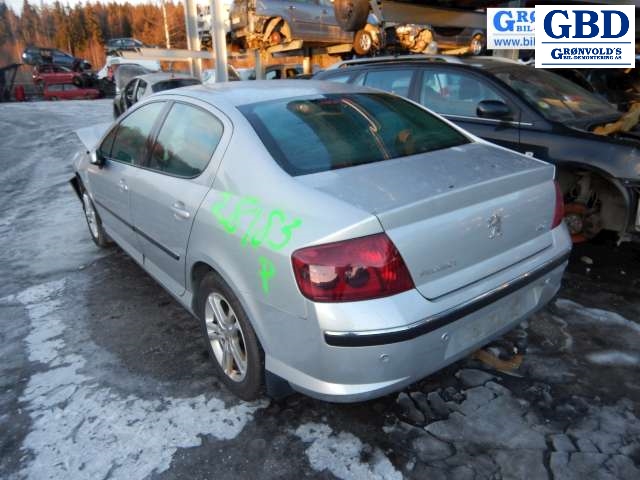 Peugeot 407, 2004-2010 (6405 GP)