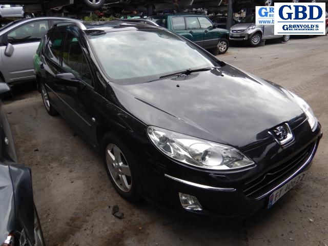 Peugeot 407, 2004-2010 (1330 V3)