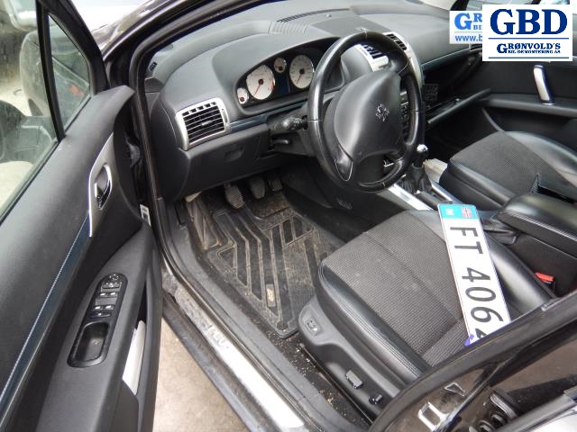 Peugeot 407, 2004-2010 (1330 V3)