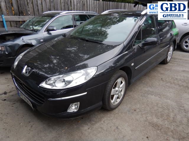 Peugeot 407, 2004-2010 (1330 V3)