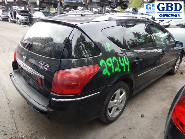 Peugeot 407, 2004-2010 (1330 V3)