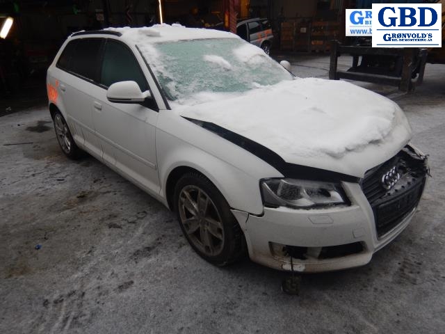 Audi A3, 2009-2012 (Type II, Fase 2)(|8P0 941 699 A)