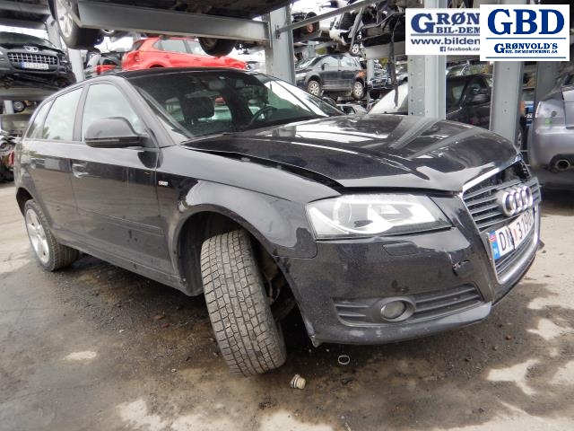 Audi A3, 2009-2012 (Type II, Fase 2) (02Z 911 024 AX)