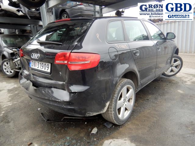 Audi A3, 2009-2012 (Type II, Fase 2) (02Z 911 024 AX)