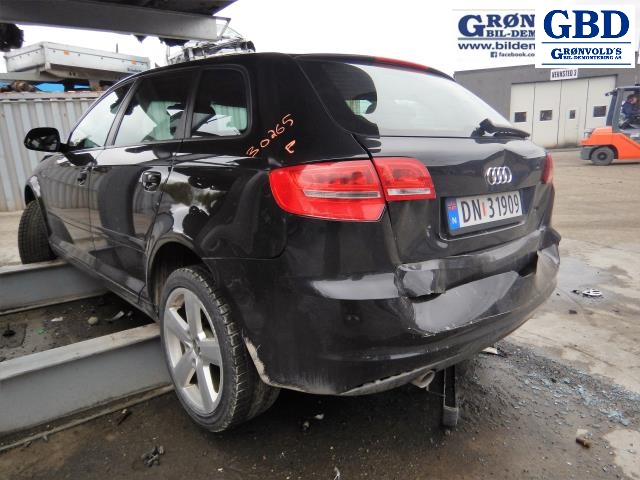 Audi A3, 2009-2012 (Type II, Fase 2) (02Z 911 024 AX)