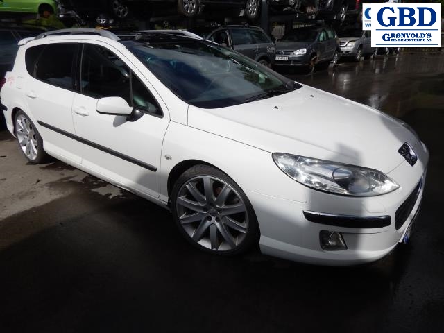 Peugeot 407, 2004-2010(|2529 W4)