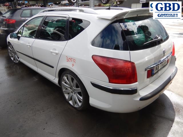 Peugeot 407, 2004-2010 (2529 W4)