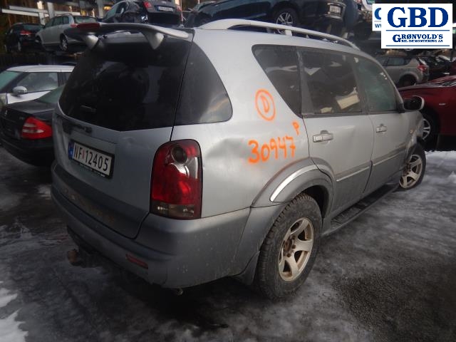 SsangYong Rexton, 2004-2006 (Y200, Fase 2) (714956)