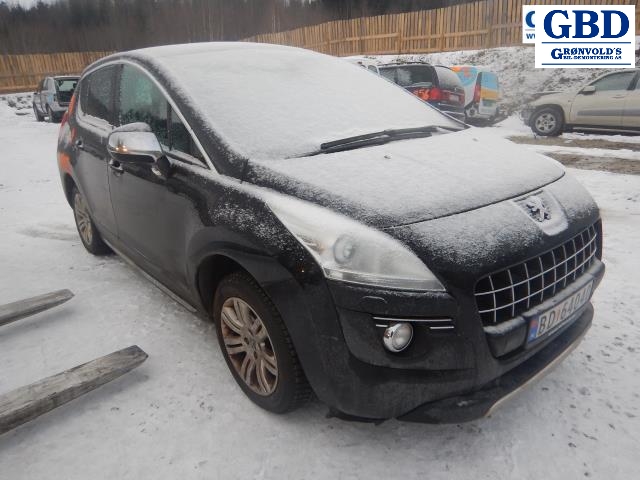 Peugeot 3008, 2009-2016 (Type I) (4640|16 069 781 80)