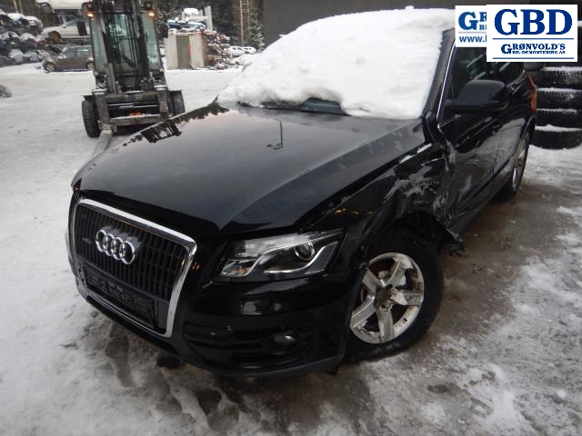 Audi Q5, 2008-2012 (Type I, Fase 1) (AUDI|8K0 941 531 AL)