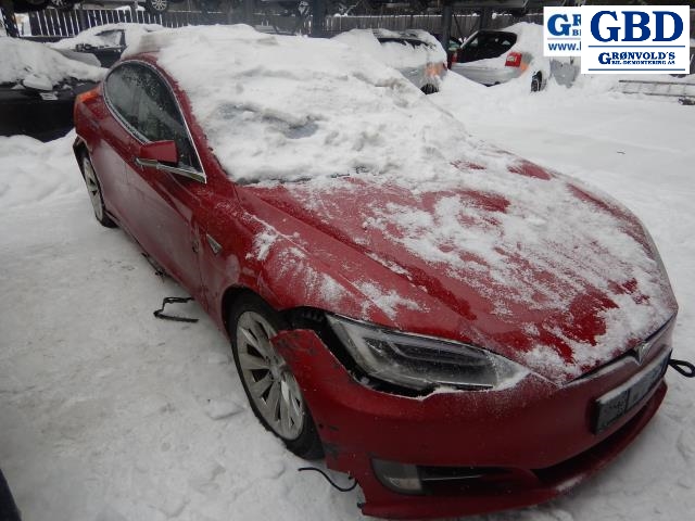 Tesla Model S, 2016-2021 (Fase 2) (TESLA|1010907-00-G)