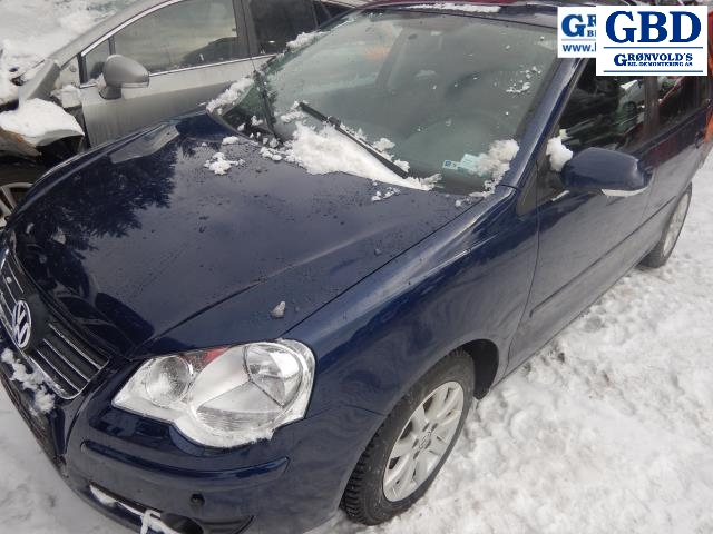 VW Polo, 2005-2009 (Type IV, Fase 2) (6Q0 407 271 DC|6Q0 407 451 LX)