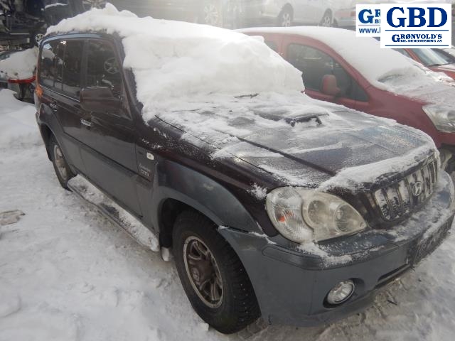 Hyundai Terracan, 2002-2007 (87640H 1010)