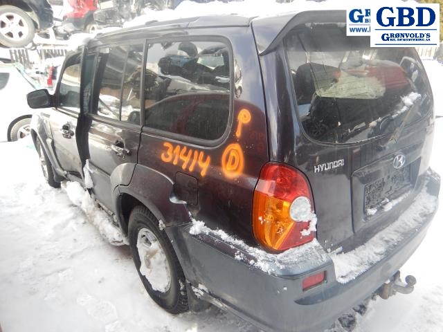 Hyundai Terracan, 2002-2007 (87640H 1010)