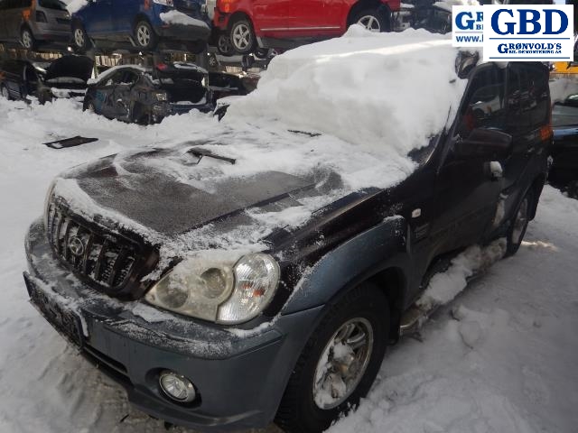 Hyundai Terracan, 2002-2007 (87640H 1010)