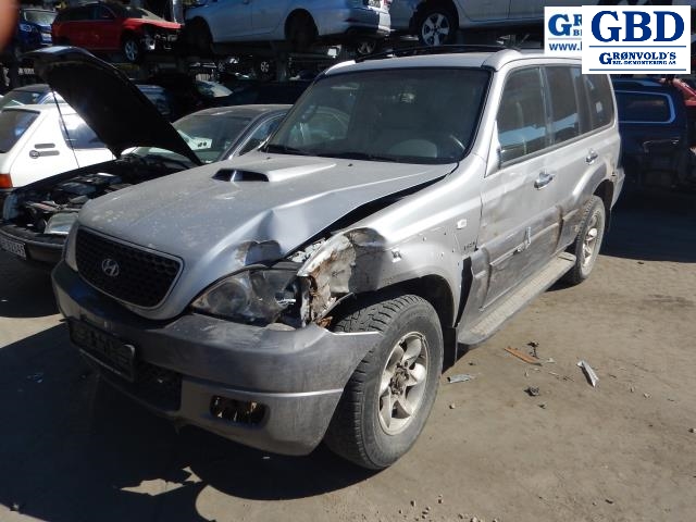 Hyundai Terracan, 2002-2007 (58130H 1080)