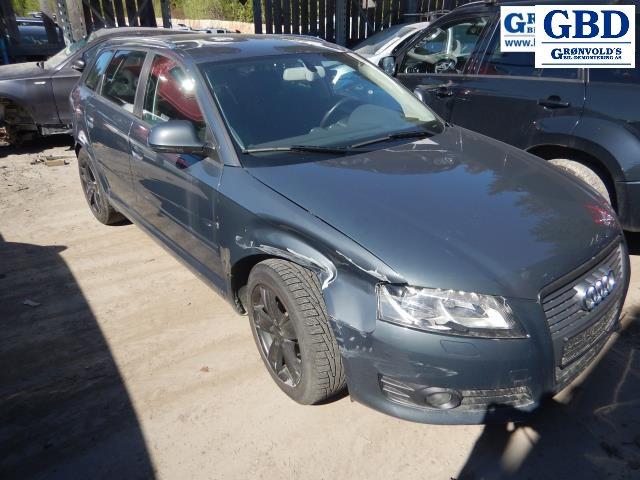 Audi A3, 2009-2012 (Type II, Fase 2) (VW AG|02Z 911 023 FX|02Z 911 023 H)