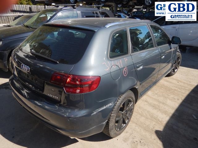 Audi A3, 2009-2012 (Type II, Fase 2) (VW AG|02Z 911 023 FX|02Z 911 023 H)