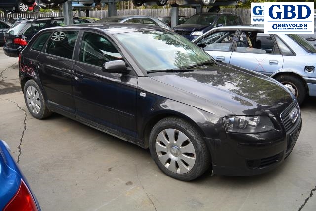 Audi A3, 2003-2008 (Type II, Fase 1) (BOSCH|03G 906 461 C)