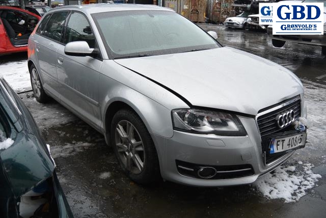 Audi A3, 2009-2012 (Type II, Fase 2) (1K1 721 503 AM)