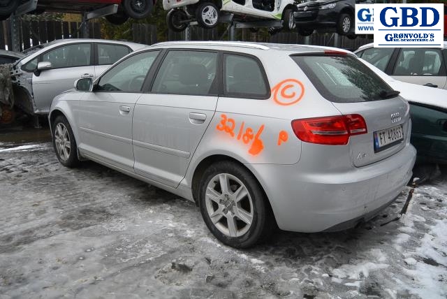 Audi A3, 2009-2012 (Type II, Fase 2) (1K1 721 503 AM)