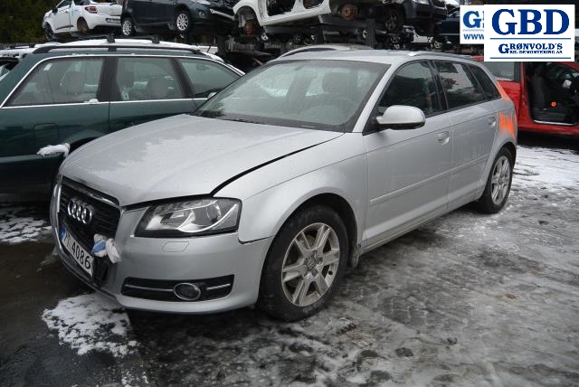 Audi A3, 2009-2012 (Type II, Fase 2) (1K1 721 503 AM)