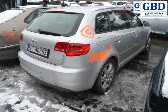 Audi A3, 2009-2012 (Type II, Fase 2) (1K1 721 503 AM)