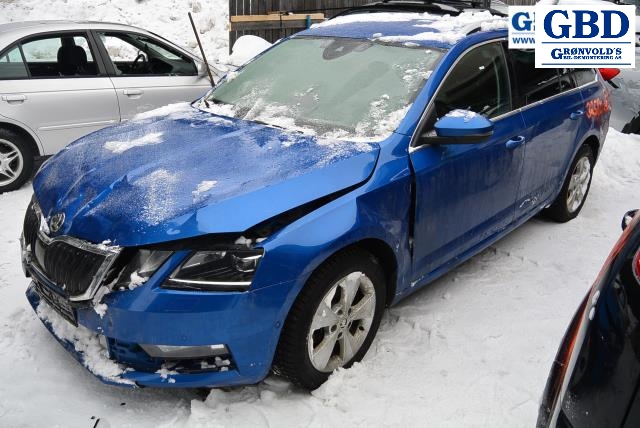 Škoda Octavia, 2017-2020 (Type III, Fase 2) (5Q0 501 204 C )