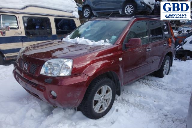 Nissan X-Trail, 2002-2007 (T30) (25401EQ305)