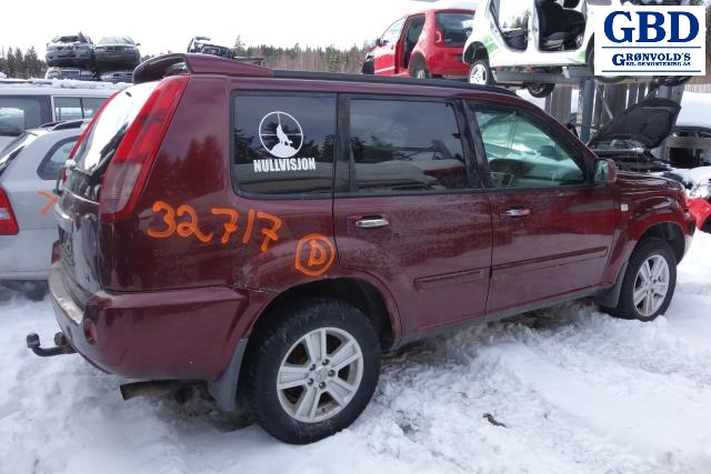 Nissan X-Trail, 2002-2007 (T30) (25401EQ305)