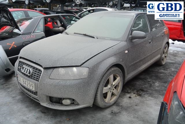 Audi A3, 2003-2008 (Type II, Fase 1) (8E0 907 391 B|1307329115)