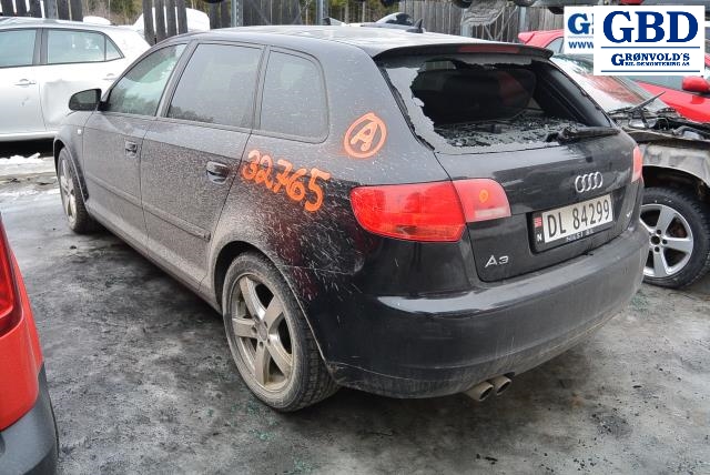 Audi A3, 2003-2008 (Type II, Fase 1) (8E0 907 391 B|1307329115)