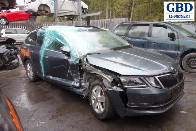 Škoda Octavia, 2017-2020 (Type III, Fase 2) (04C 903 021 A)