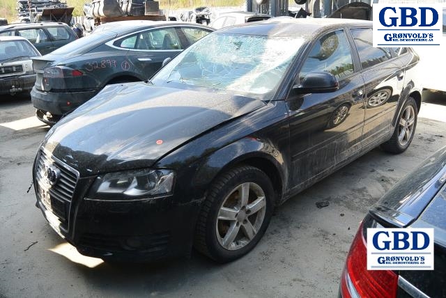 Audi A3, 2009-2012 (Type II, Fase 2) (1K1 941 824 |1659316-010101)