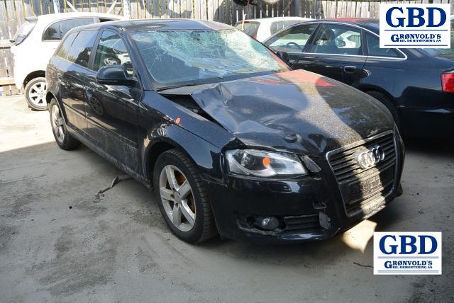 Audi A3, 2009-2012 (Type II, Fase 2) (1K1 941 824 |1659316-010101)