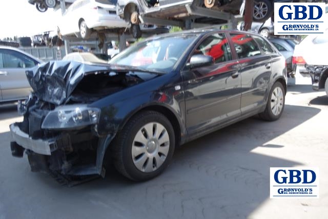 Audi A3, 2003-2008 (Type II, Fase 1) (1307329115)