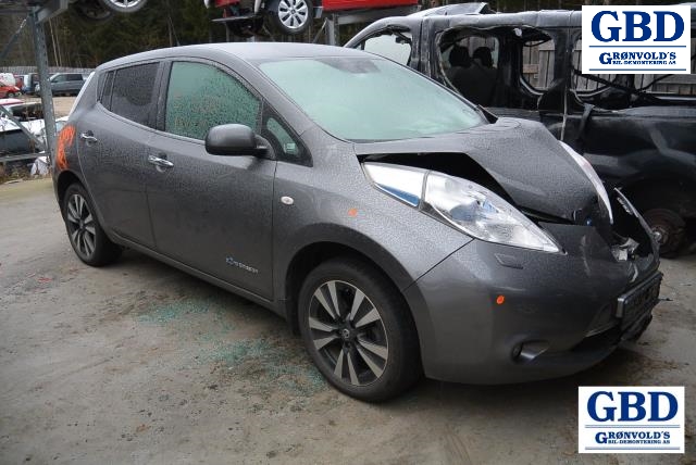 Nissan Leaf, 2011-2017 (Type I) (ICHIKON|A1M130-000)