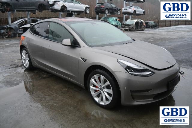 Tesla Model 3, 2018-2023 (Fase 1) (TESLA|1044491-00-E)