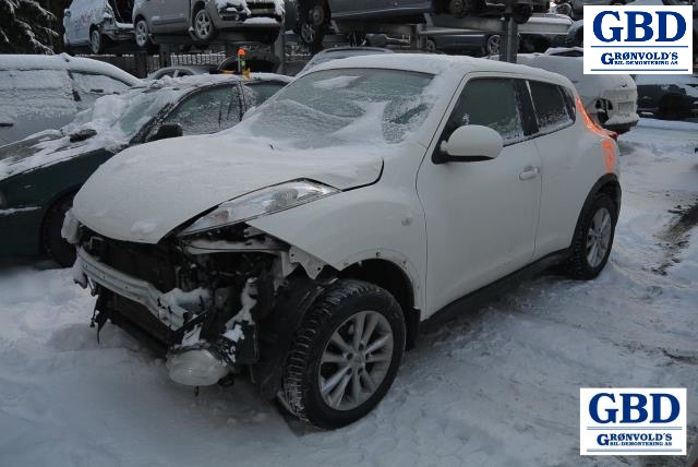 Nissan Juke, 2010-2014 (Fase 1) (963021KA2B|963021KA2C)