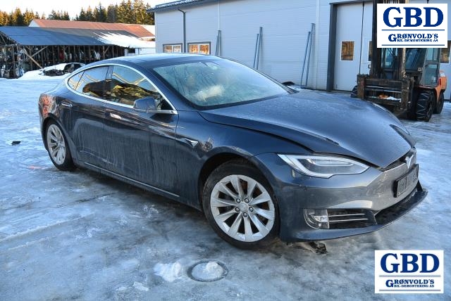 Tesla Model S, 2016-2021 (Fase 2) (TESLA|1010907-00-G)