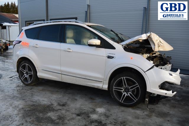 Ford Kuga, 2013-2019 (Type II) (FORD|CV44-17504-BG|W000088309|2081306)