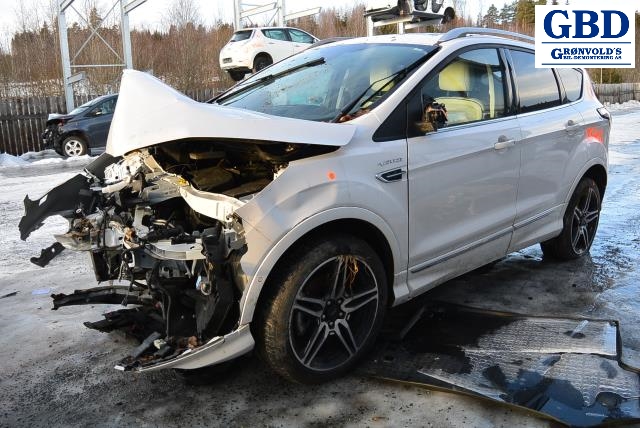 Ford Kuga, 2013-2019 (Type II) (FORD|CV44-17504-BG|W000088309|2081306)