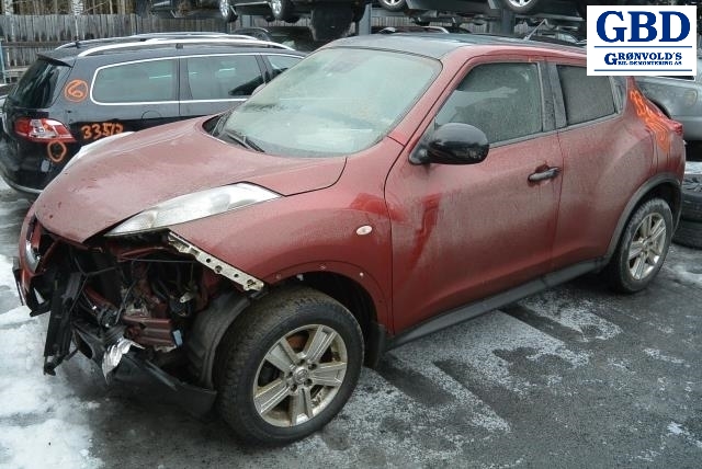 Nissan Juke, 2010-2014 (Fase 1) (320101KG0C)