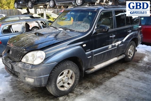 Hyundai Terracan, 2002-2007 (98700 H1000)