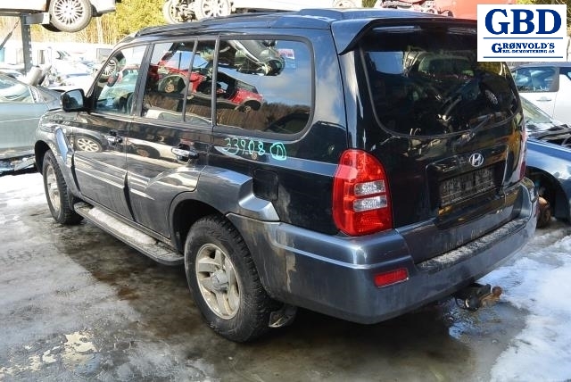 Hyundai Terracan, 2002-2007 (98700 H1000)